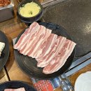 탐라도야지 이미지