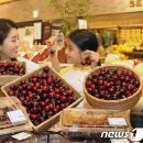 (주)체리판매 뉴스1