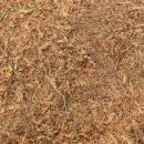 큰맘할매순대국 영월남면점 이미지