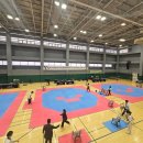 서경태권도 이미지