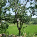 연곡민박 이미지