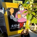 도연네닭통