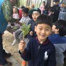 풍영초교병설유치원 Daum카페