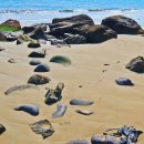 장등해수욕장 이미지