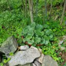 지천농장 이미지