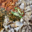 구땡식당 다대포점 네이버블로그
