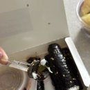 빈스꼬마김밥