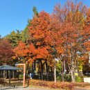 봉오대로 이미지