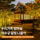 건축가와 함계하는 건축이야기(10월) | 덕수궁 야간개장 예쁜 사진 후기 with 아이고고 가족투어 도슨트