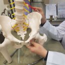 경희한결한의원 이미지