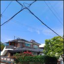 대전안전공사 | 할머니 댁 지붕 교체 후기 대전지붕공사로 안전하고 멋진 새 지붕 완성