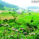 박속낙지 이미지