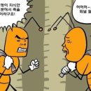 개미와배짱이 이미지