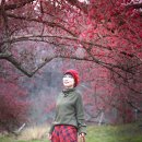 11/25 이천 산수유마을-시몬스테라스 /찰나 작가님 리딩 2. 이미지