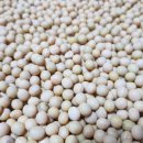 삼배농장 이미지