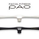 파오(PAO) 이미지