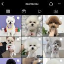 디어뚜뚜 이미지