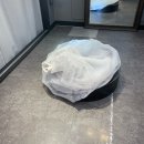 청담 실크맛집 안나스포사 드레스 투어 후기 (당일지정 혜택)