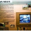 한서대학교 박물관 이미지