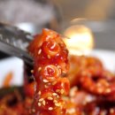 낙지친구 - 제주시 신대로12길 10 | 낙지친구