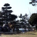 메이져모터스 Daum카페