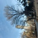 거목빌딩 이미지