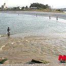 그물과물고기 이미지