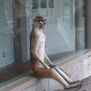 안경천사탄방점 | 가평_'리버포인트'_신뢰도 100% 내돈내산 3번째 방문_ 제트보트_제휴펜션 후기