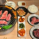 [도쿄 워홀] 86-87日 : 후지큐 하이랜드, 우에노 국립과학박물관, 야끼니꾸와 나폴리탄
