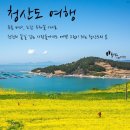 4.19~20/봄의왈츠 봄향기 청산도와 다산초당길 남미륵사 봄바람도 노랗다 이미지