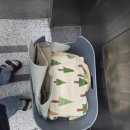 고양이랑 | 고양이랑 이사 후기