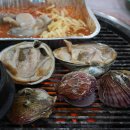 당진 청해조개구이 영미네 조개,회,칼국수 먹고옴
