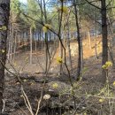 단석리산촌생태마을 이미지