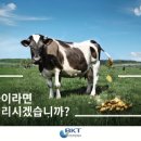 부강환경 이미지