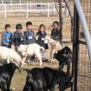 운수초교병설유치원 이미지