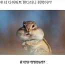 오띠젤리
