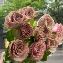 버번스트리트 이미지