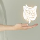 더에이치한방병원 이미지
