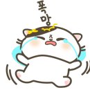 드림세탁 이미지