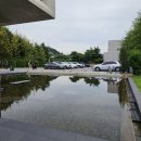 가평 카페_북한강을 바로 앞에서 볼 수 있는 베이커리 카페 골든트리 내돈내산 후기(주차장 있어요)