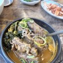 청진동해장국,설렁탕 | 대구 24시간 해장국 맛집 태경청진동해장국 본리점 감자탕 후기