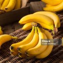 더랩스피트니스삼전 이미지