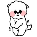 블루밍 펫 살롱 이미지