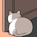 Paxi(팩시) 이미지