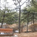 행복나름이 이미지