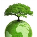 해바라기태양광발전소 이미지