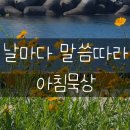 갈멜목장 네이버블로그