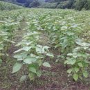 우슬농장 이미지