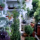 두봉농장 이미지