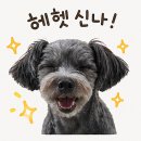 광화문 D타워 맛집 온더보더 세트 예약 방문 후기 + 할인 꿀팁 (고수 빼는 팁까지)